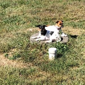 Meet your Posher, Annette